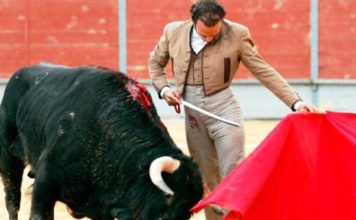 Ferrera durante el festival de Lorca. (FOTO: Guillermo Lorente/mundotoro.com)